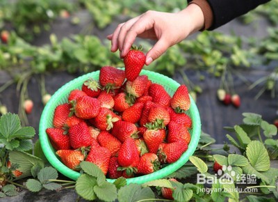 春节过后如何去油脂？