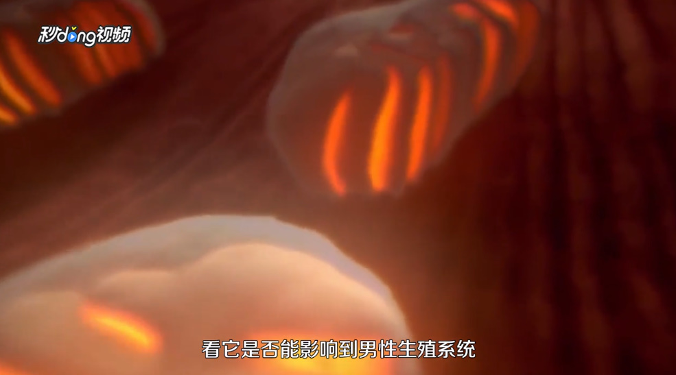 可乐杀精还是雪碧杀精呢？