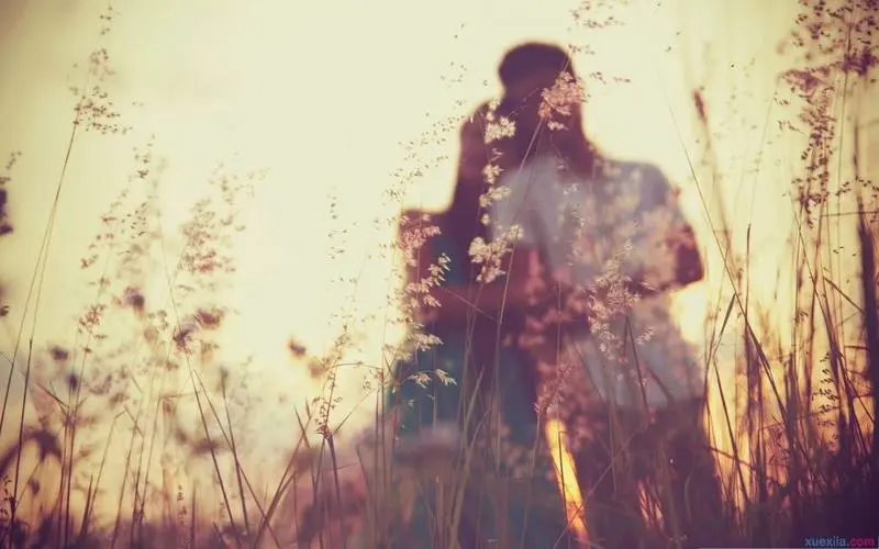 表达一心一意爱一个人的诗句有哪些