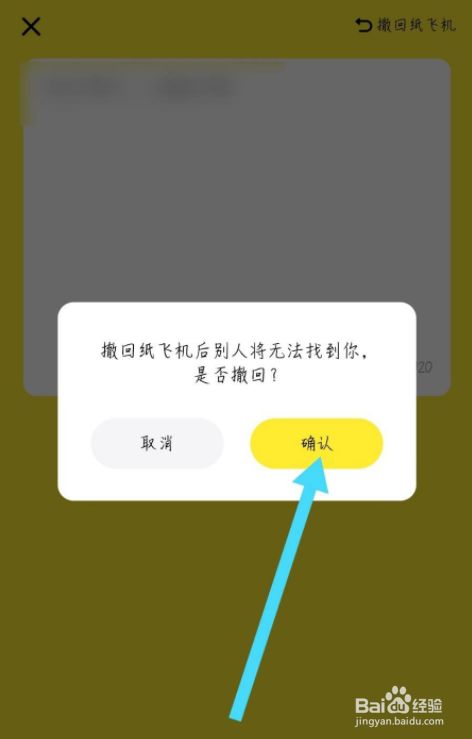 纸飞机app聊天软件下载纸飞机app聊天软件下载为什么国内用不了