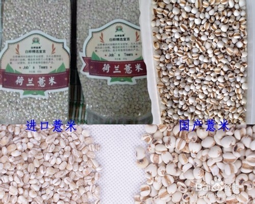 如何区别进口薏仁米和国产薏仁米
