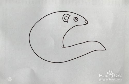 【简笔画】獴的画法