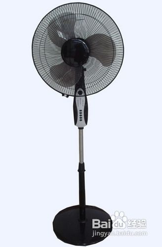 怎样用薄荷自制空气清新剂