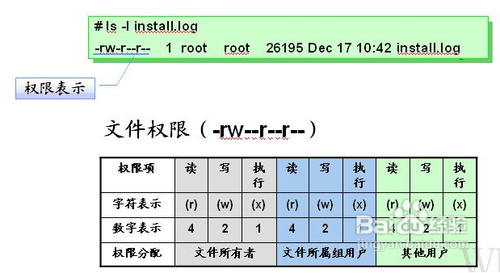 表示愛情的2位數字組合_linux權限數字表示4位_linux權限數字表示4位