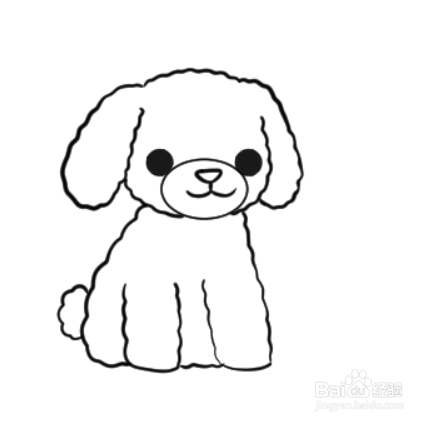 泰迪犬简笔画幼犬图片