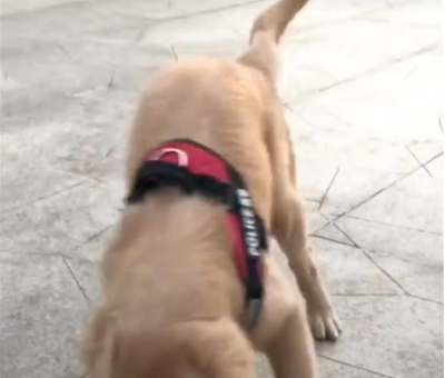 怎样录制正在手机里播放的视频,是不是一种软件啊!