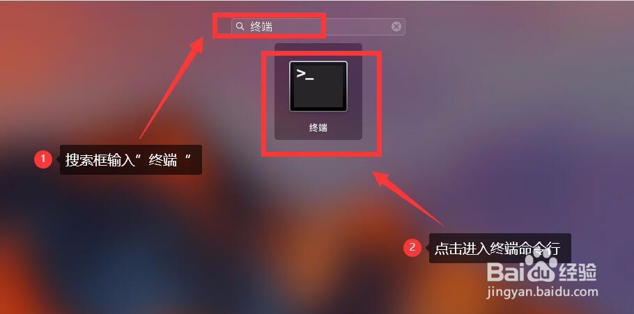 苹果电脑怎么查看IP地址
