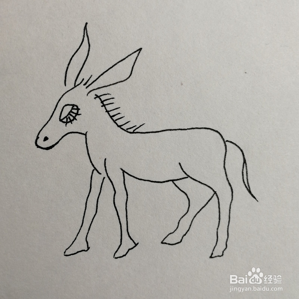 小毛驴儿童简笔画怎么画？