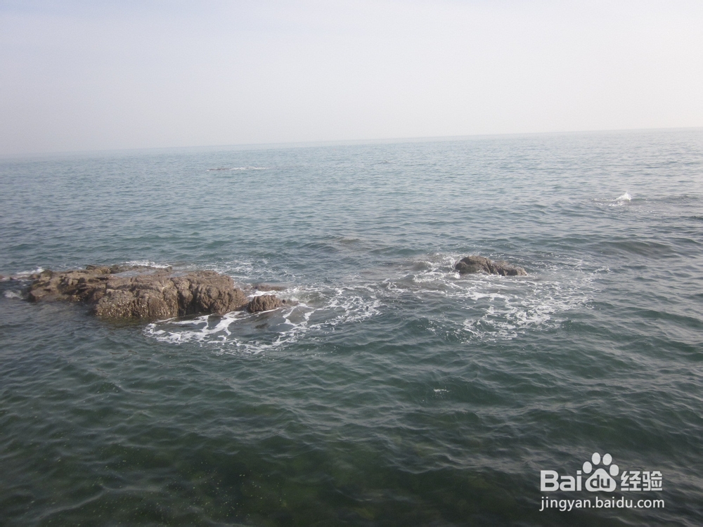 青岛之旅——风景这边独好！