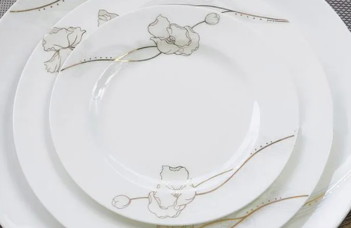 6寸盘子参照物有哪些