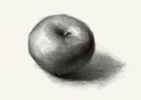 素描静物的画法一