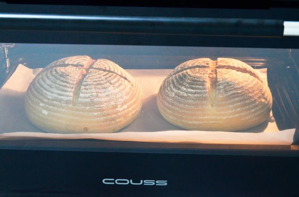 全麦橙香软欧包