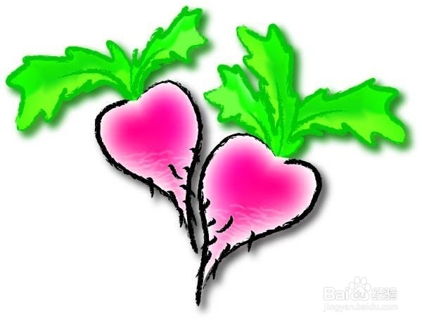 萝卜的营养价值分析