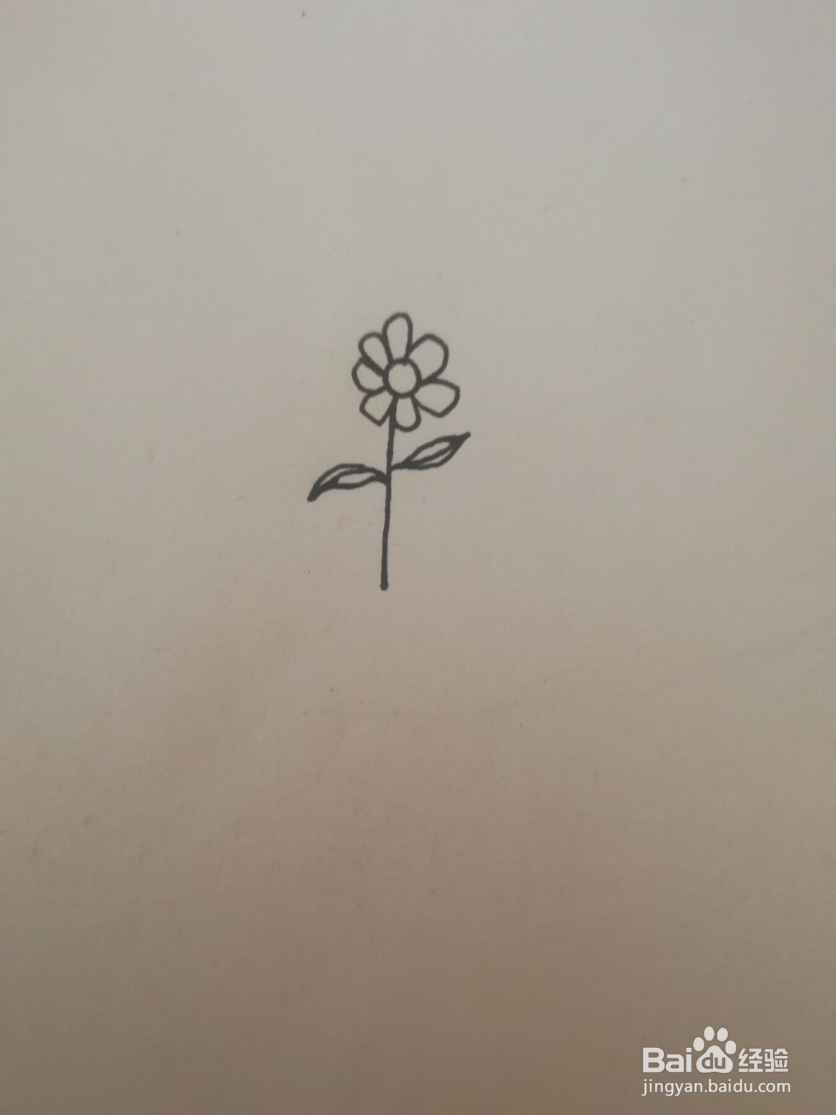 简笔画花朵如何画