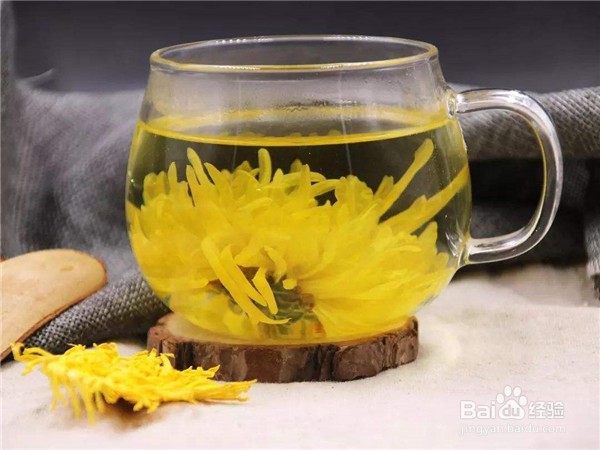 菊花茶对人体都有哪些益处