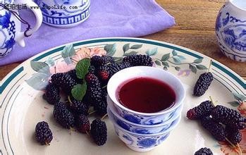 怎么制作桑葚酒