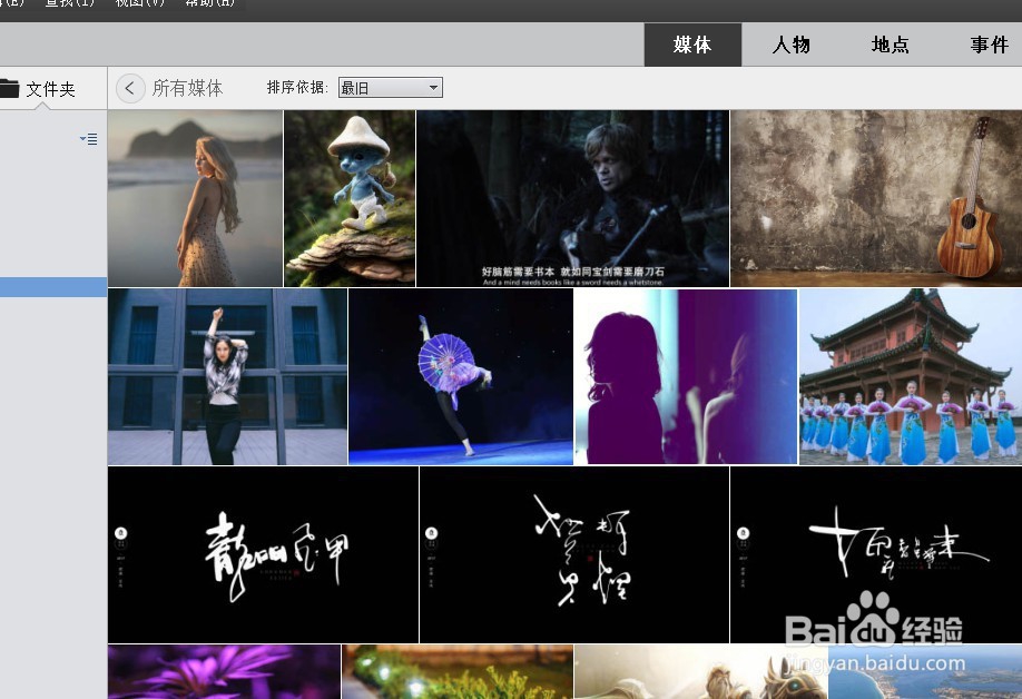 PS Elements 2020 怎样设置照片的排序依据