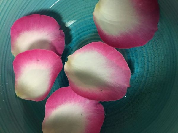 糖霜玫瑰奶油蛋糕