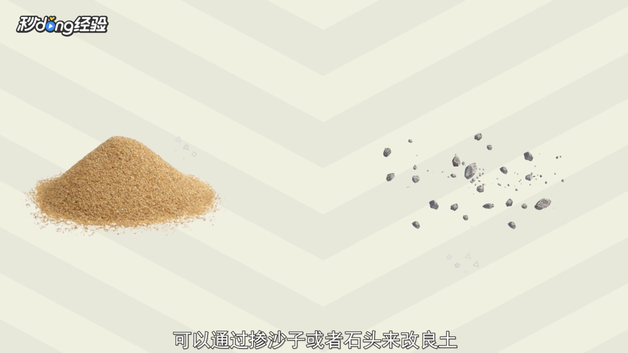 郁金香的种植方法和时间