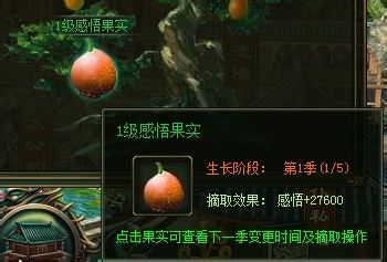 6711大侠传感悟值获取攻略