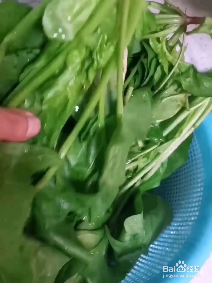 凉拌菠菜的做法