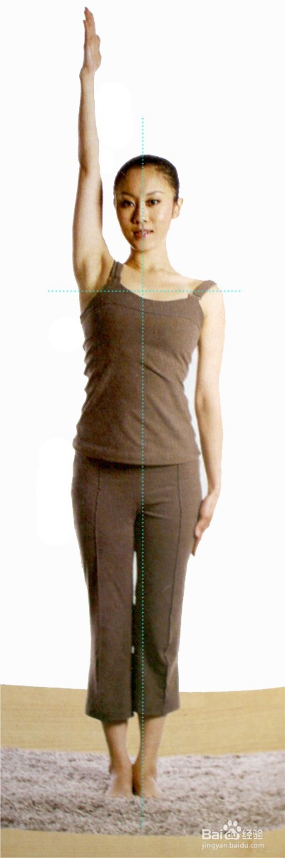 瑜伽 风吹树式的做法