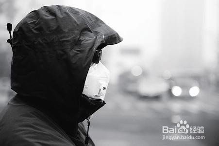 雾天出行该注意什么