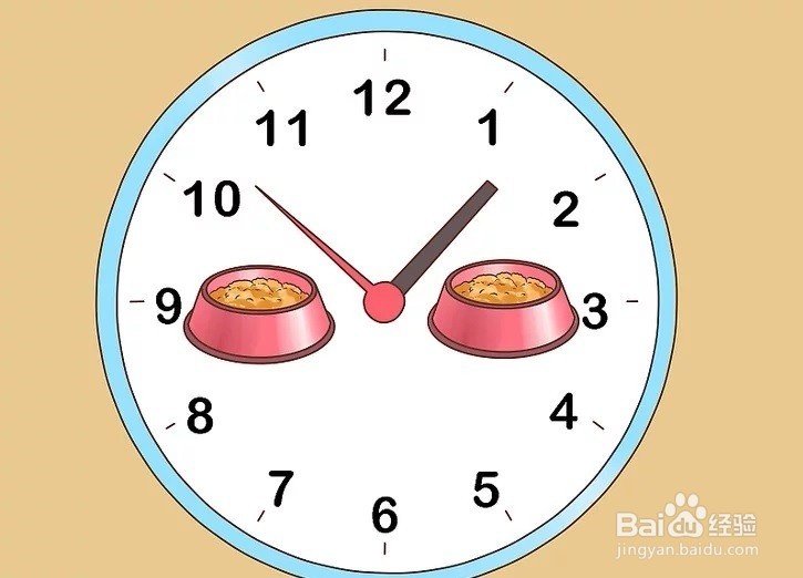 怎样才能增加狗狗的食欲?