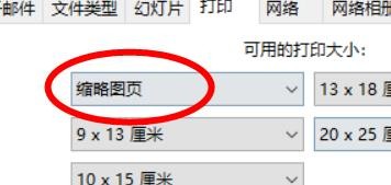 Picasa3打印大小怎样设置为缩略图页