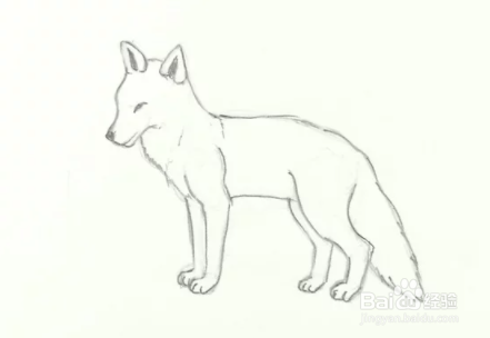 白狐铅笔画图片