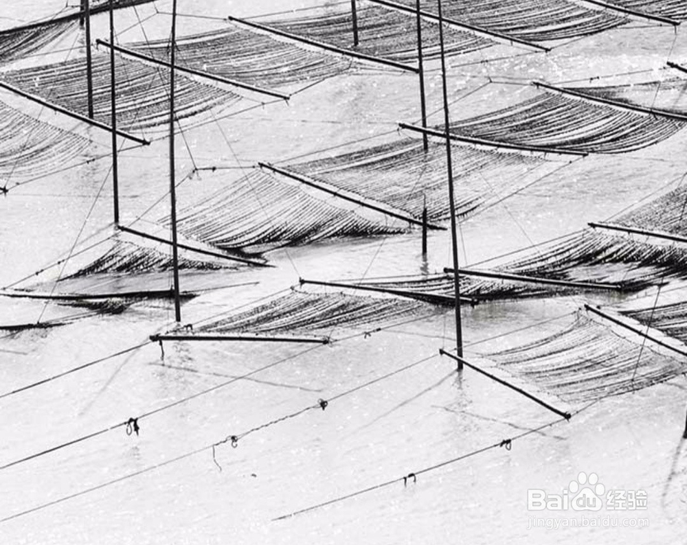 中国电信怎么退定套餐