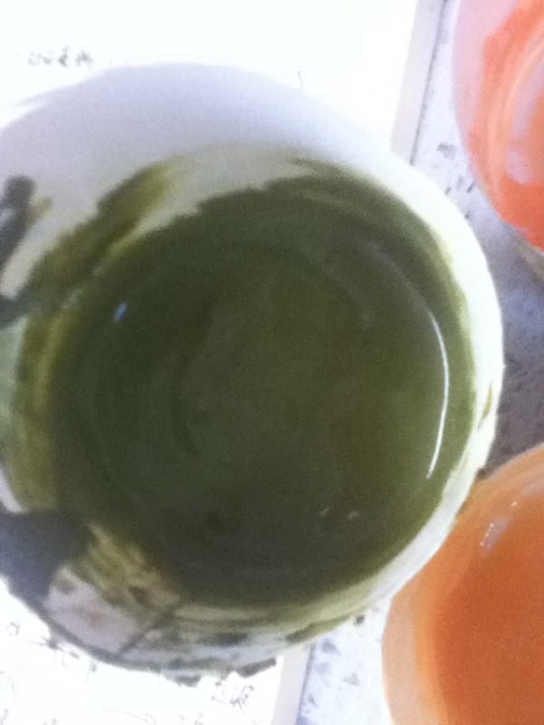 康乃馨彩绘蛋糕卷