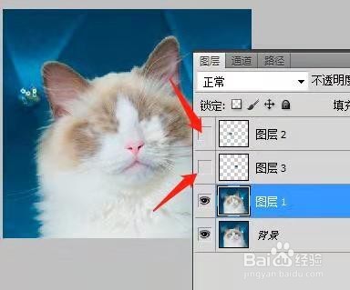 用PS制作动态猫咪表情包
