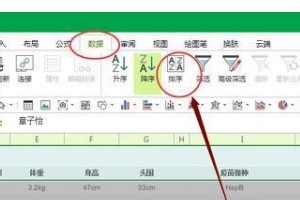 如何用excel进行排序？