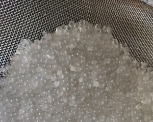 芋圆芒果椰奶西米露