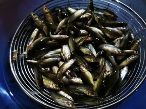 香酥野生炸小鱼的做法