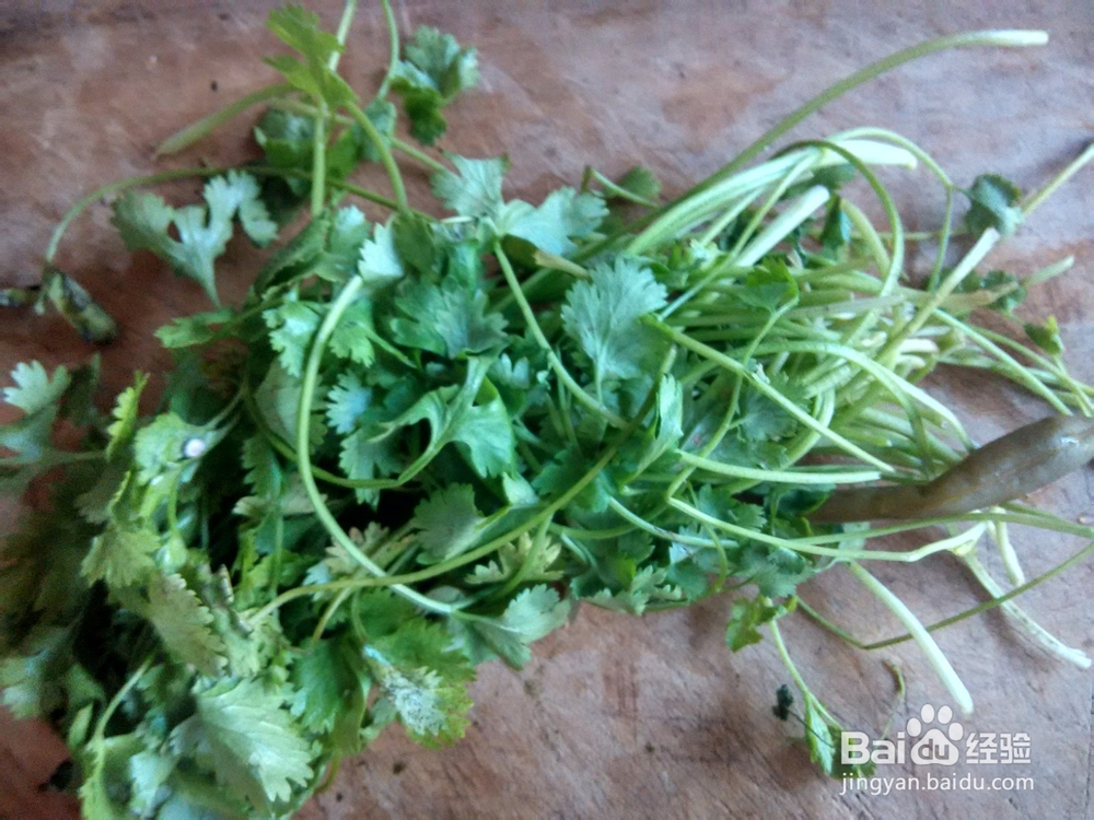 捞汁蒜酱拌香菜黄瓜