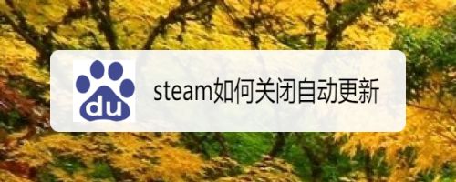 Steam如何关闭自动更新 百度经验 Steam如何关闭自动更新 百度经验
