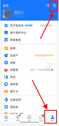 支付宝怎么查看成长值明细