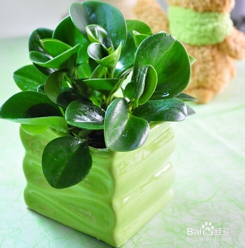 如何预防视网膜脱落