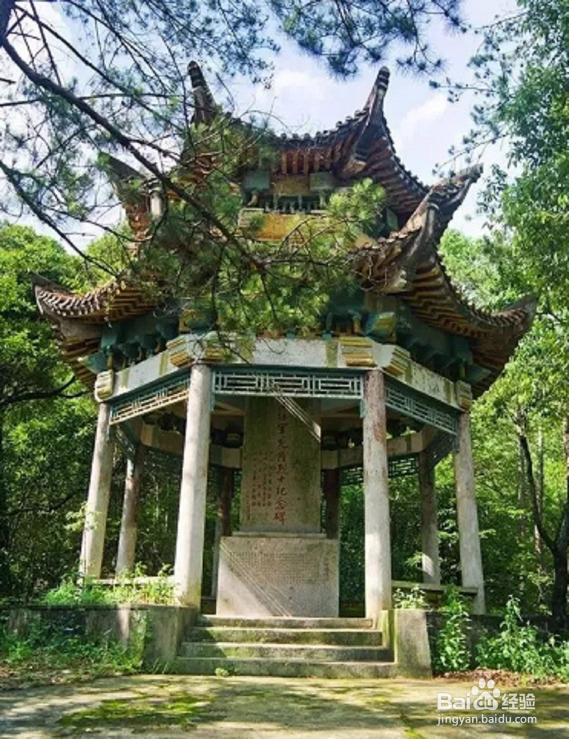 德兴大茅山风景区打卡攻略