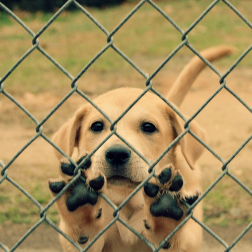 【结婚】创意婚礼策划方案
