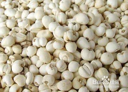 新鲜贝母怎么食用?