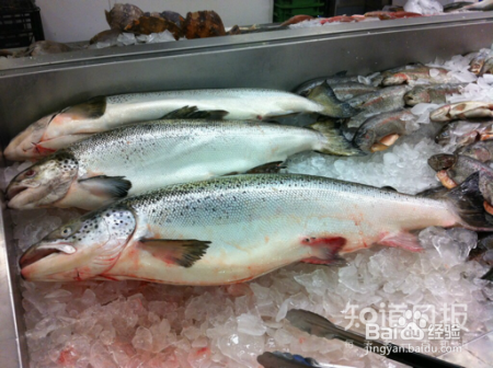 如何在冬季挑选食用鱼?