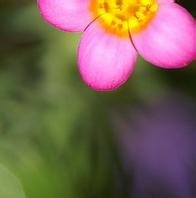 健康生活小知识15