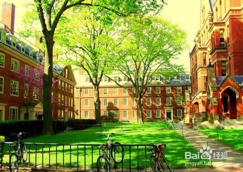 托普仕美国大学最新奖学金政策