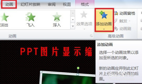 ppt图片显示缩放的效果