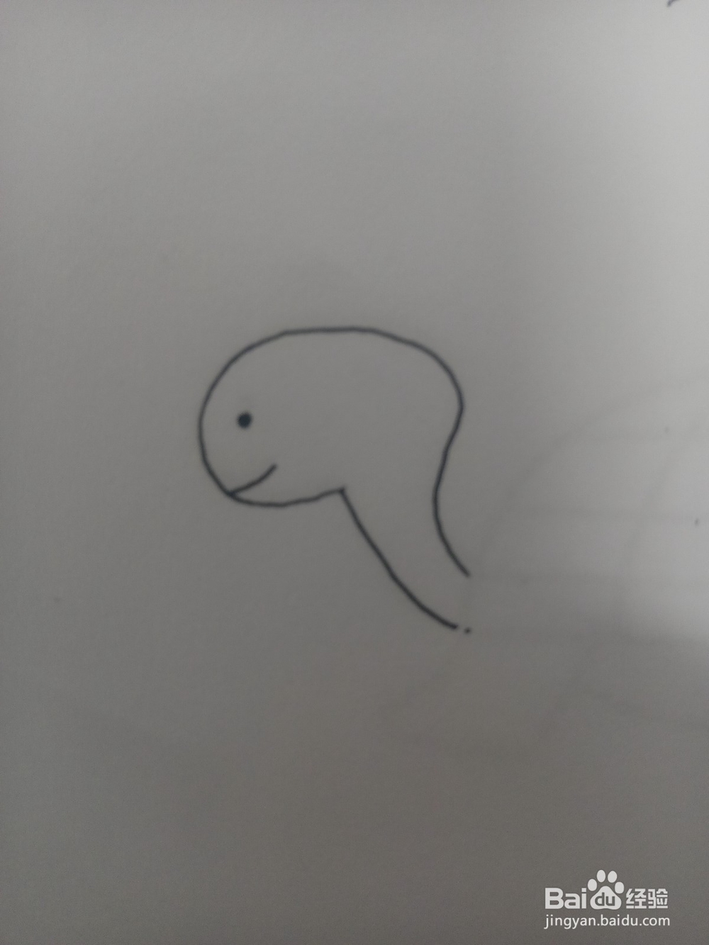 小乌龟简笔画教程