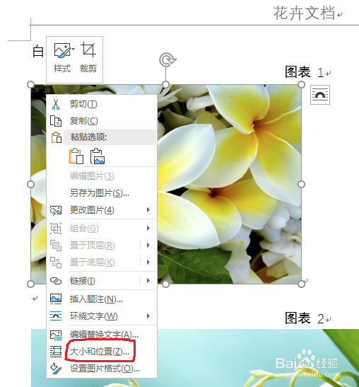 word如何快速统一图片大小