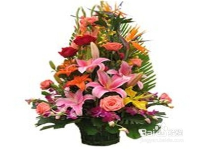 探视病人需要注意的几点事项